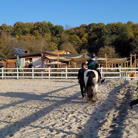 Vila Teoharie Ocnele Mari Bagian luar foto