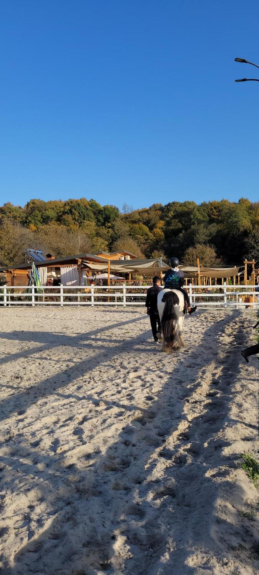 Vila Teoharie Ocnele Mari Bagian luar foto